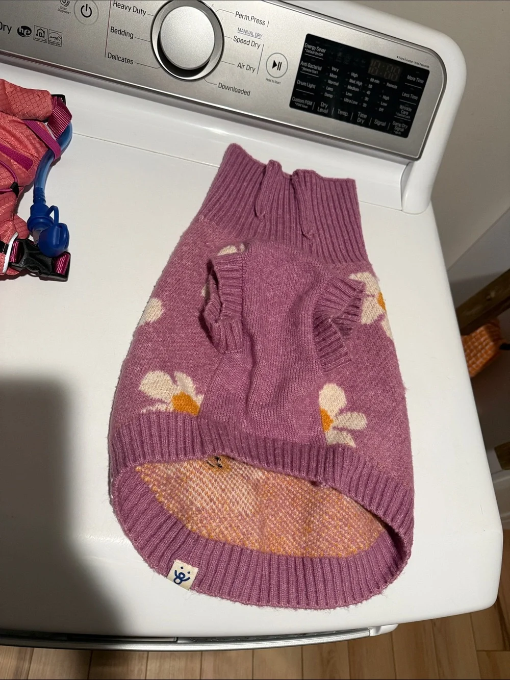 Lot of Puppy/Small Dog Accessories and Clothes